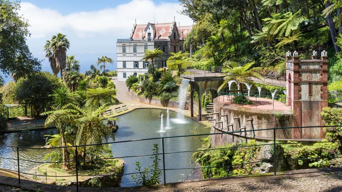 The vibrant colors & gardens of Funchal