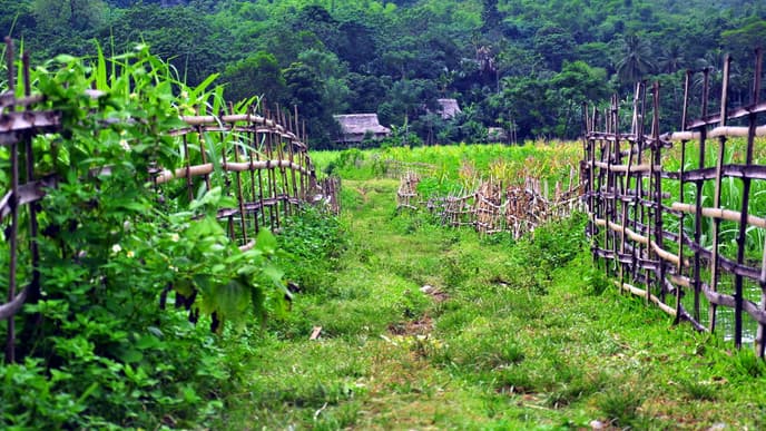 Zurück ins Stadtleben von Hanoi