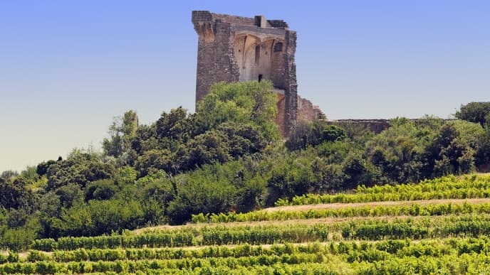 Wine tasting in Châteauneuf-du-Pape