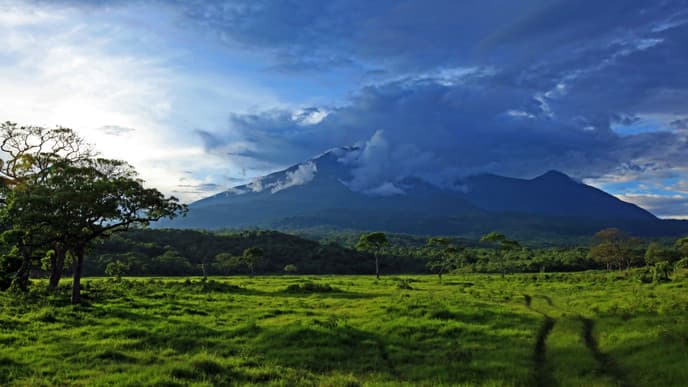 Welcome to Tanzania!