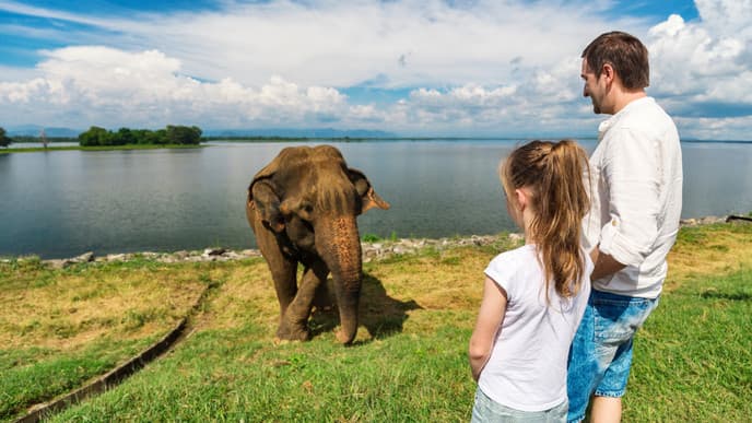 Into the heart of Udawalawe