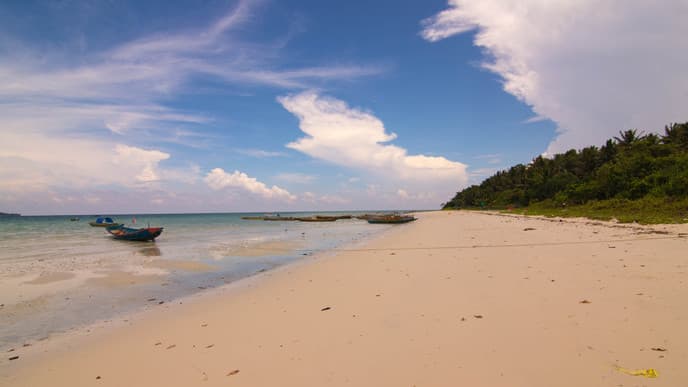At leisure in paradise
