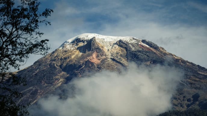The heights of the Coffee Region