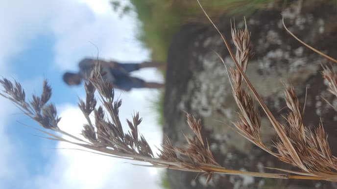 Erlebnisreicher Jungle Walk