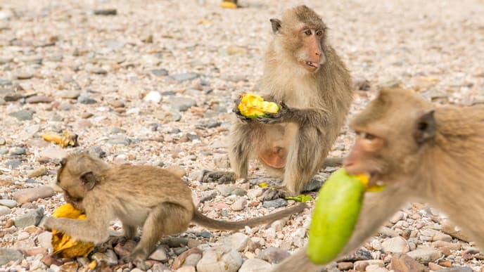 Take a Nature Walk in Queen Elizabeth National Park