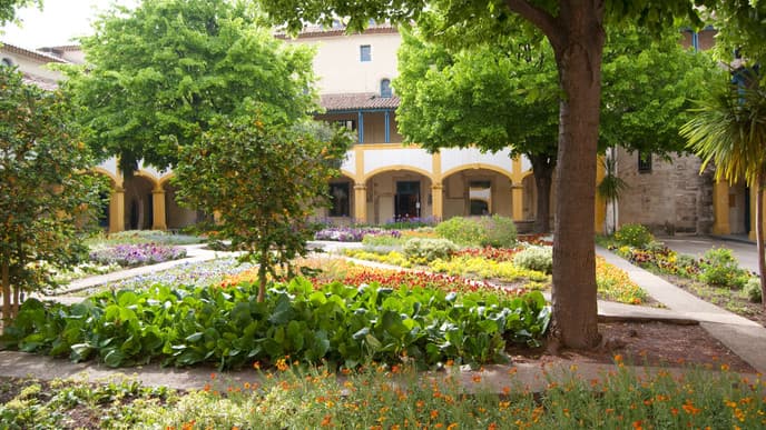 Experience Van Gogh's provence