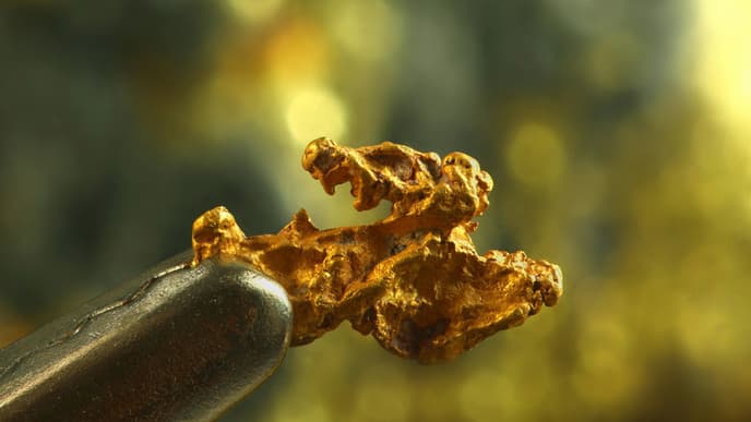 Go Gold Mining in Nature