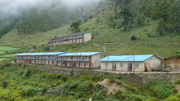 Wandern in Begleitung von Dschungelaffen