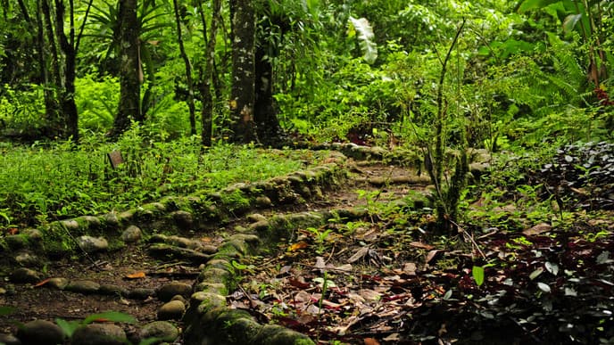 Explore the beautiful San Isidro Reserve