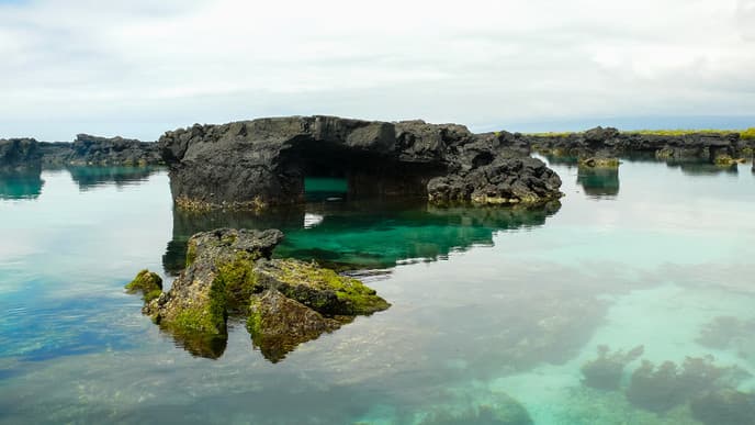Wildtierbeobachtungen auf der Insel Isabela