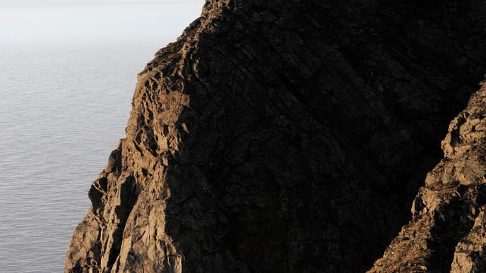 Catch, Cook, and Eat King Crab