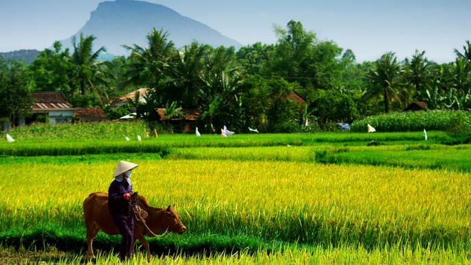 Into the Vietnamese countryside