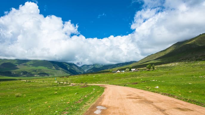 Picnic at a Tranquil Lakeside Setting