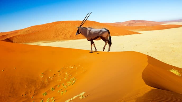 Iconic Red Sand Dunes, Salt Flats and Canyons