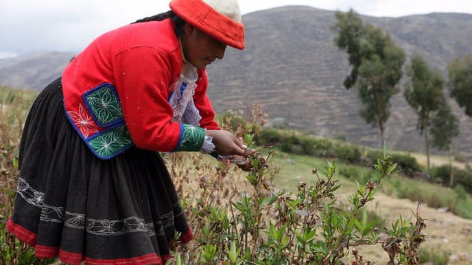 Experience culture in Patabamba