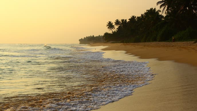 Galle city tour & journey to the coast