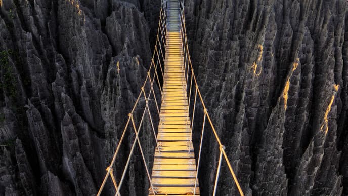 Pass Through The Spiny Forest