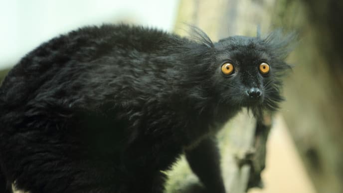 Artenschutz für Groß und Klein