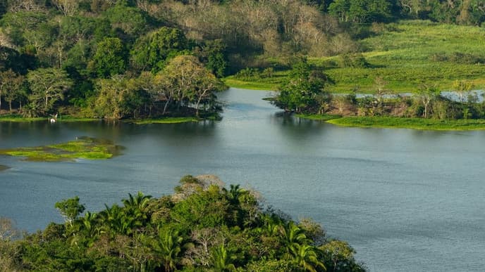 Wildlife spotting on Lake Gamboa