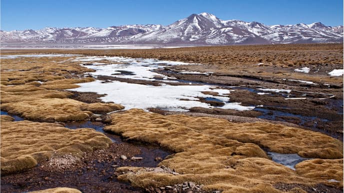 Durch das weite Hochland nach Uyuni