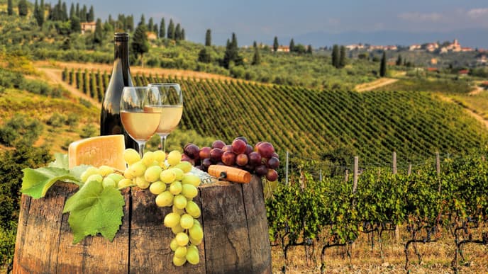 Die malerischen Weinberge und Olivenhaine von Chianti