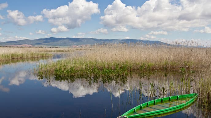 Experience the beauty of Daimiel National Park