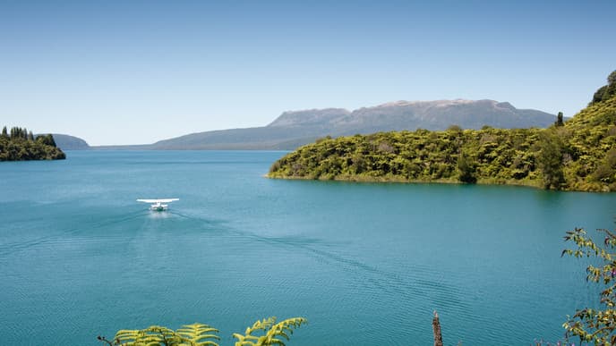 Floatplane adventures & spa relaxation