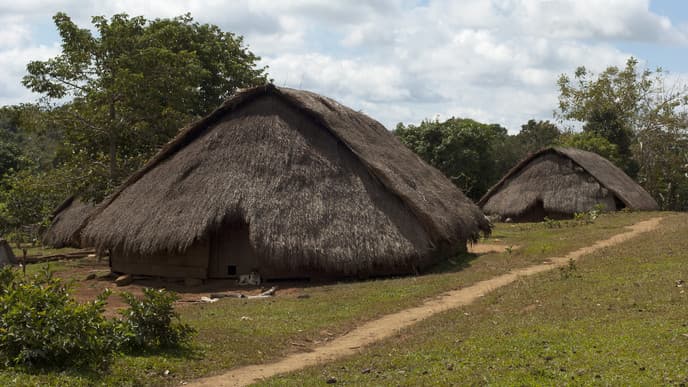 Take a Trip to Serene Mondulkiri