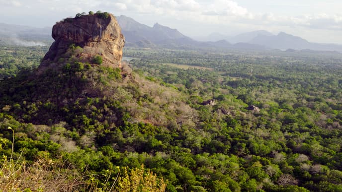 Löwenfelsen & wilde Elefanten
