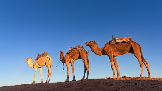 Roter Sand und ein fantastischer Sonnenuntergang
