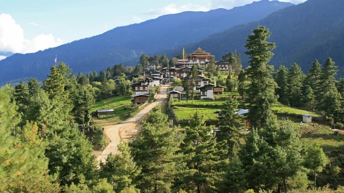 Journey to Gangtey via Rukubji