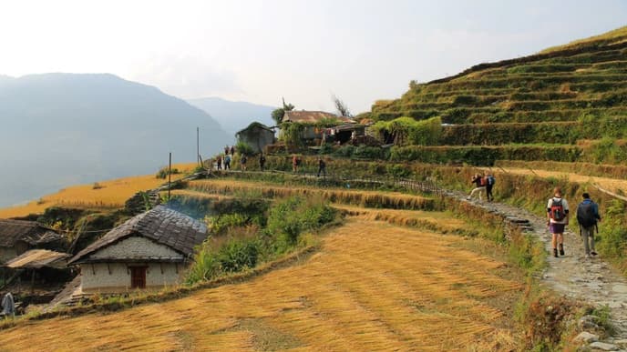 Der Weg zum Tor des Annapurna