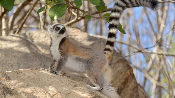 Im Tal von Tsaranoro