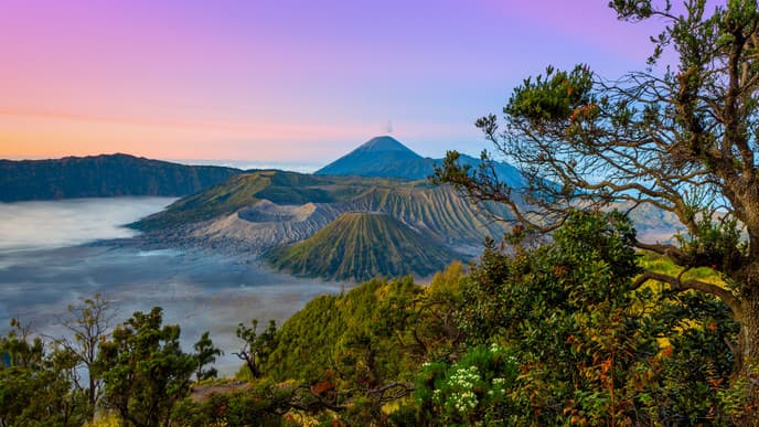 Gorilla-Trekking im Volcanoes National Park