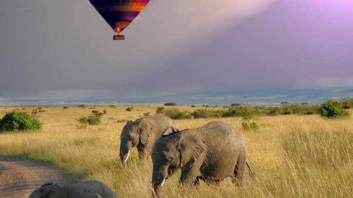 Have a Fun Journey to Serengeti National Park
