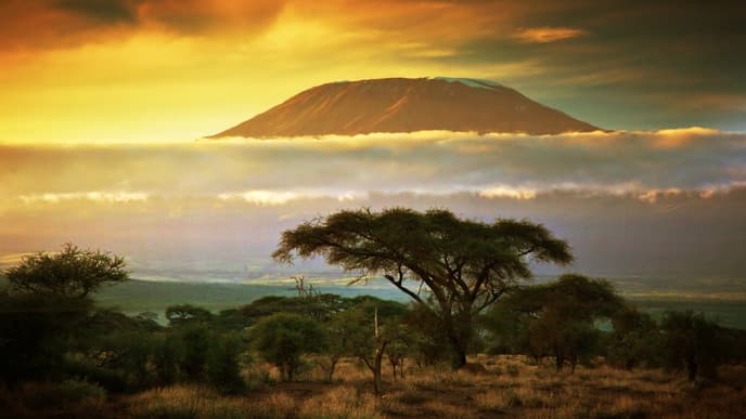 Be Awed By Mt Kilimanjaro