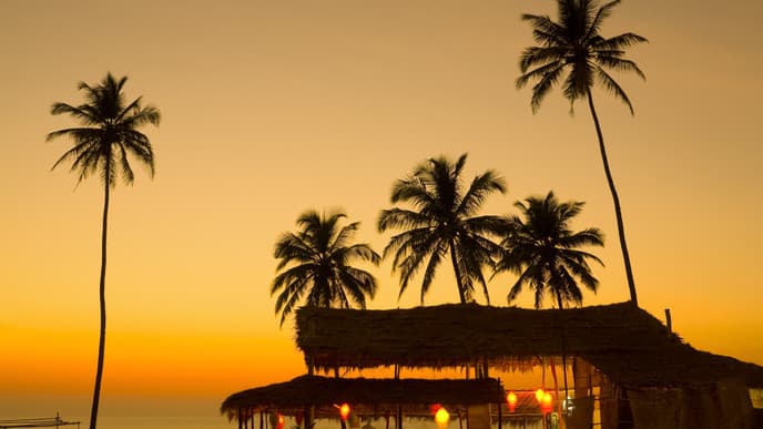 Farewell, India!