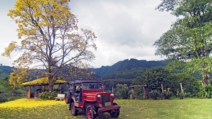 Learn How Coffee is Made at Hacienda San Alberto