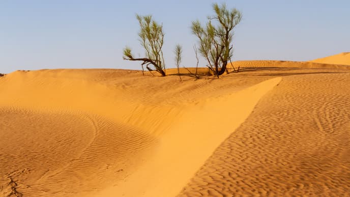 Rich heritage & desert tranquility