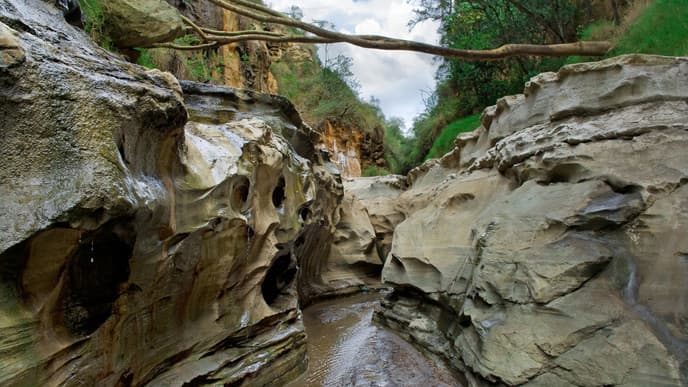 Tour the Fascinating Hell’s Gate National Park