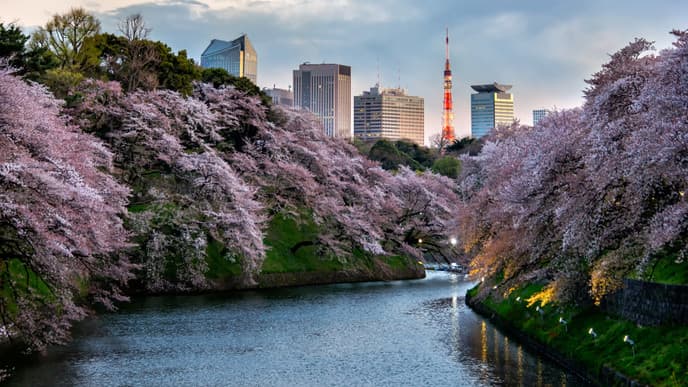 Ein freier Urlaubstag in Tokio