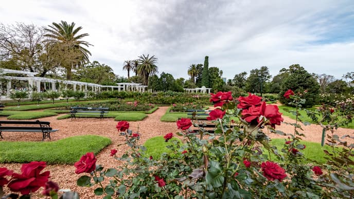 Explore the capital by bike