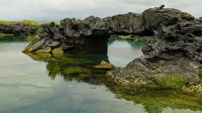 Giant tortoises & beautiful beaches