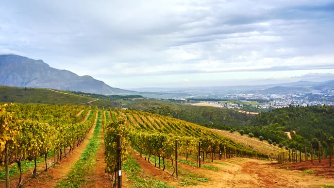 Touchdown in South Africa