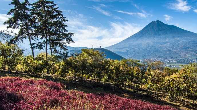 Discover Antigua's beautiful surroundings
