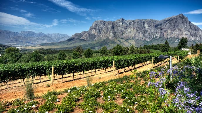 Universitätsstadt Stellenbosch