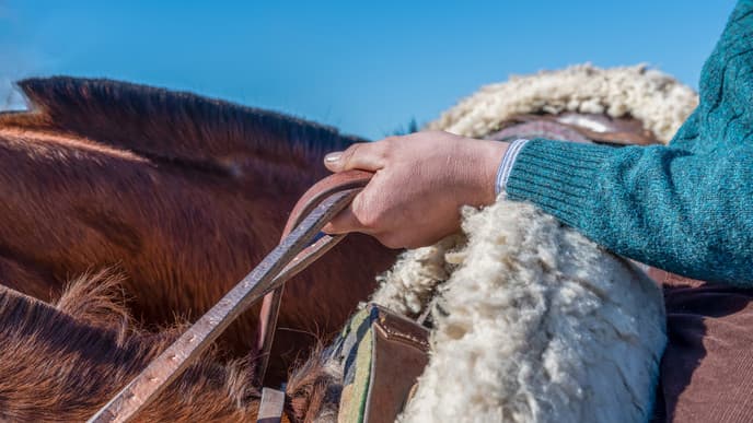 Welcome to the gaucho way of life!