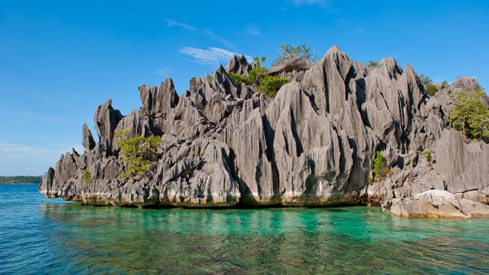 Reefs and Wrecks of Coron