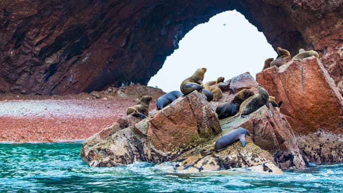 Wildlife boat tour & desert oasis