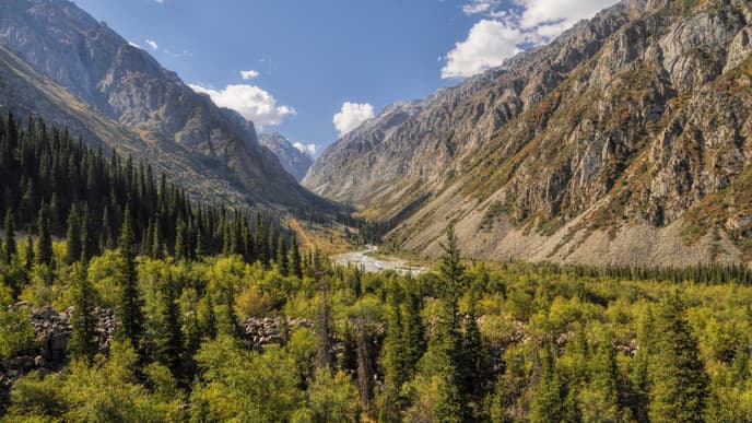 Ein malerisches Tal inmitten wilder Berge